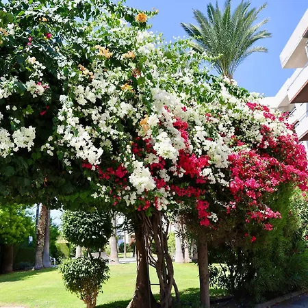 Appartement Front Limassol